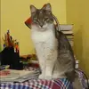 Отзыв от Лидия Крюкова